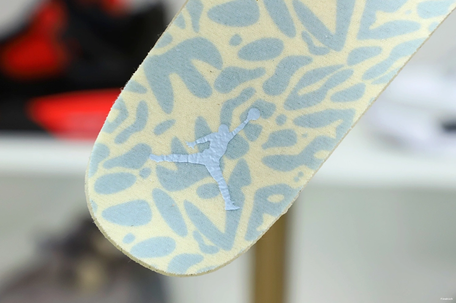 13 JORDAN AIR SOLEFLY AIR JORDAN 1004